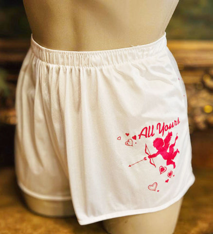 VINTAGE WHITE NYLON PANTIES – VALENTINE CUPID & HEARTS PRINT WITH SHEER HEARTS BACK – SILKY LINGERIE ONE SIZE