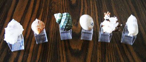 GORGEOUS AND UNIQUE VINTAGE SEA SHELL NAPKIN RINGS NAPKIN HOLDERS - SET OF 6 NAPKINS RINGS