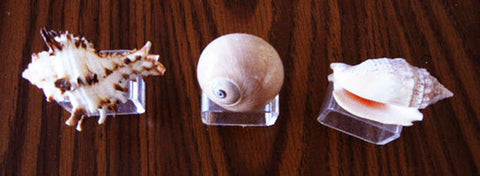 GORGEOUS AND UNIQUE VINTAGE SEA SHELL NAPKIN RINGS NAPKIN HOLDERS - SET OF 6 NAPKINS RINGS