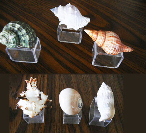 GORGEOUS AND UNIQUE VINTAGE SEA SHELL NAPKIN RINGS NAPKIN HOLDERS - SET OF 6 NAPKINS RINGS