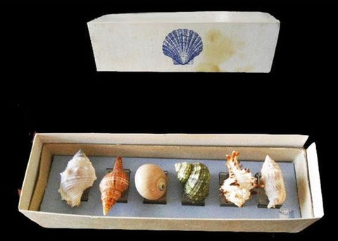 GORGEOUS AND UNIQUE VINTAGE SEA SHELL NAPKIN RINGS NAPKIN HOLDERS - SET OF 6 NAPKINS RINGS